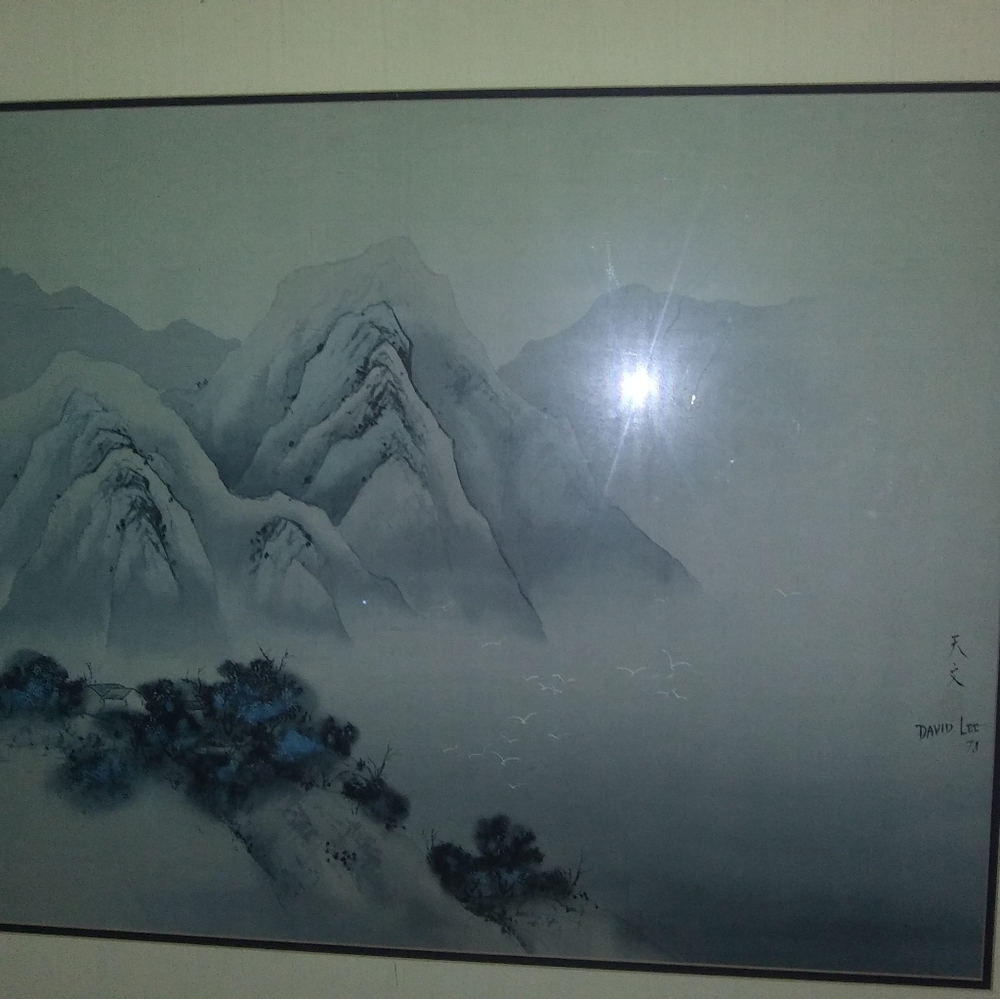 Artest David Lee Framed Art Work Print